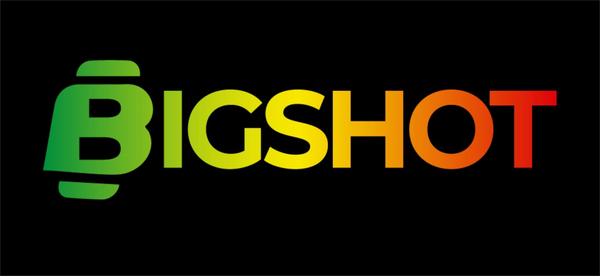 The Big Shot Store